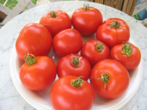 Plate-Early-Tomatoes4