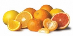 citrus-fruits